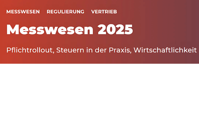BDEW Messwesen 2025